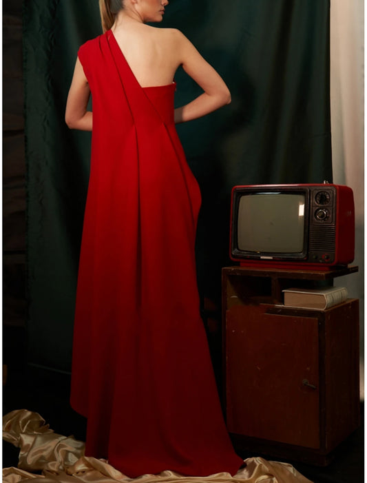 Sheath Evening Gown Formal Wedding Guest Dress Elegant Formal Floor Length Sleeveless One Shoulder Stretch Chiffon with Pleats Ruched dress