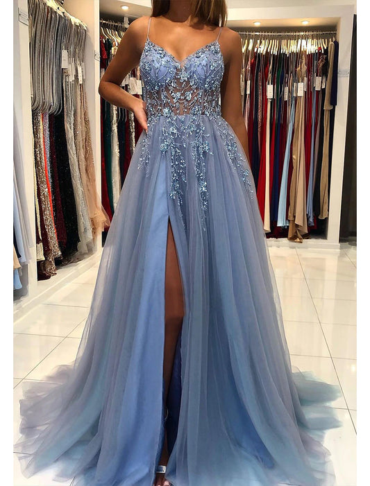 A-Line Prom Dresses Princess Dress Formal Wedding Guest Court Train Sleeveless V Neck Tulle with Beading